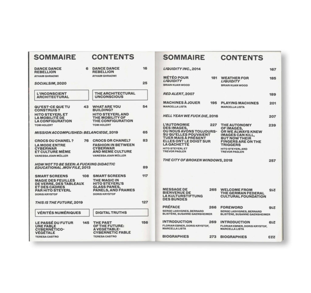 I WILL SURVIVE by Hito Steyerl [ENGLISH / FRENCH EDITION]