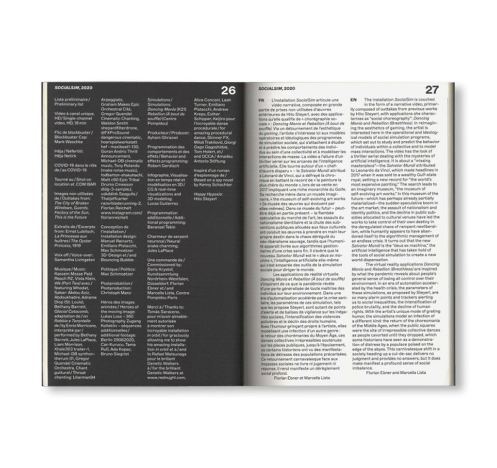 I WILL SURVIVE by Hito Steyerl [ENGLISH / FRENCH EDITION]