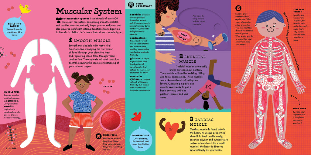 The Interactive Human Body