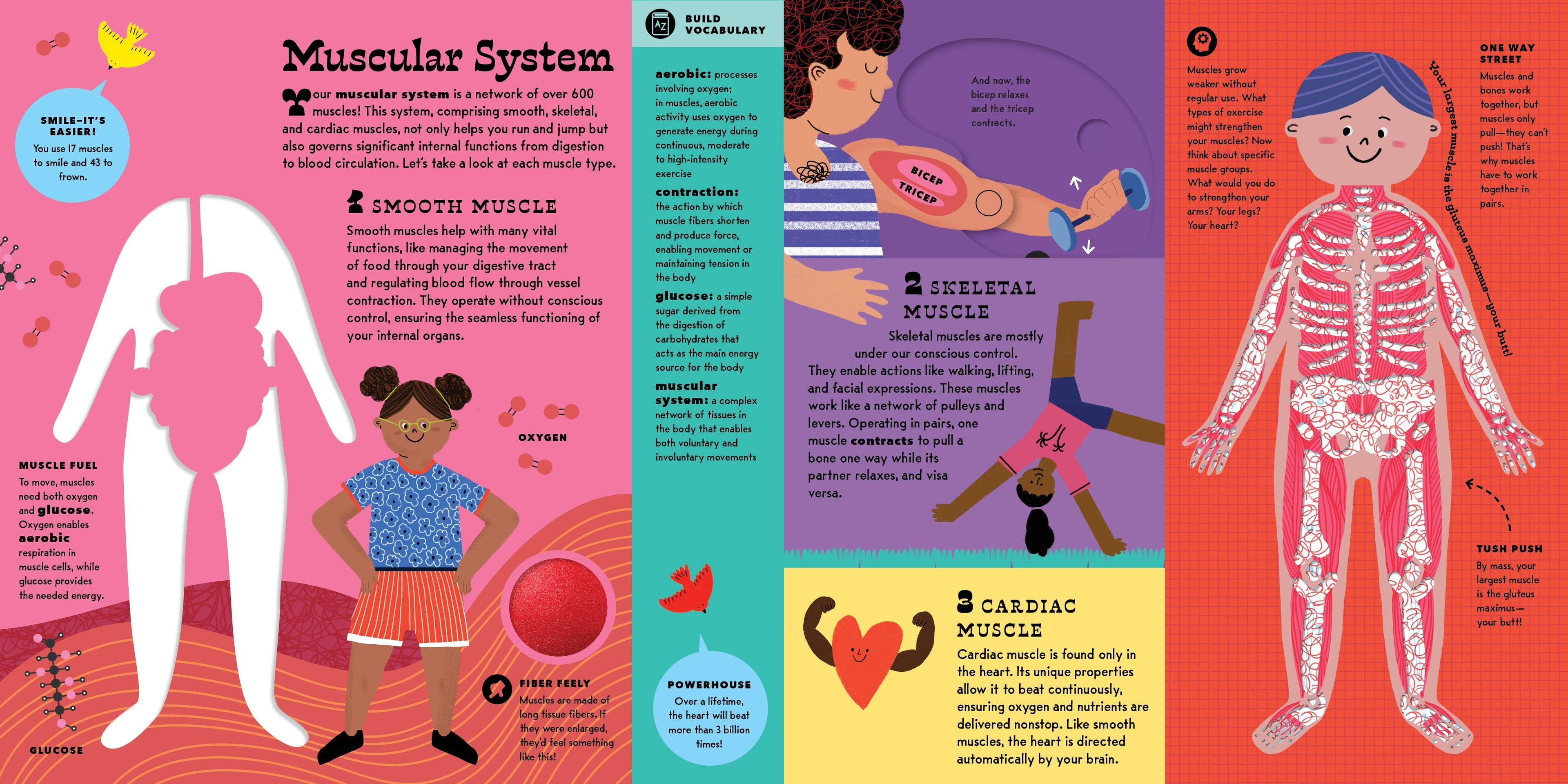 The Interactive Human Body